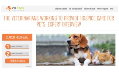 The Veterinarians Working to Provide Hospice Care for Pets: Expert Interview
