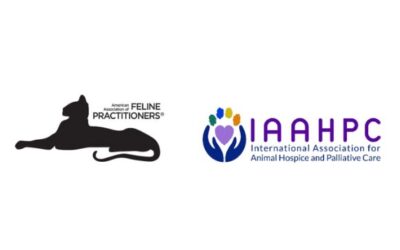 Certified Hospice and Palliative Care Veterinarians and Technicians Shine in 2023 Graduation