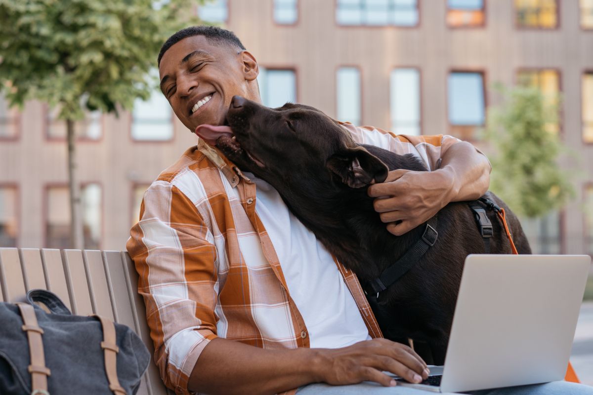 college student working outside on laptop while dog licks his face
