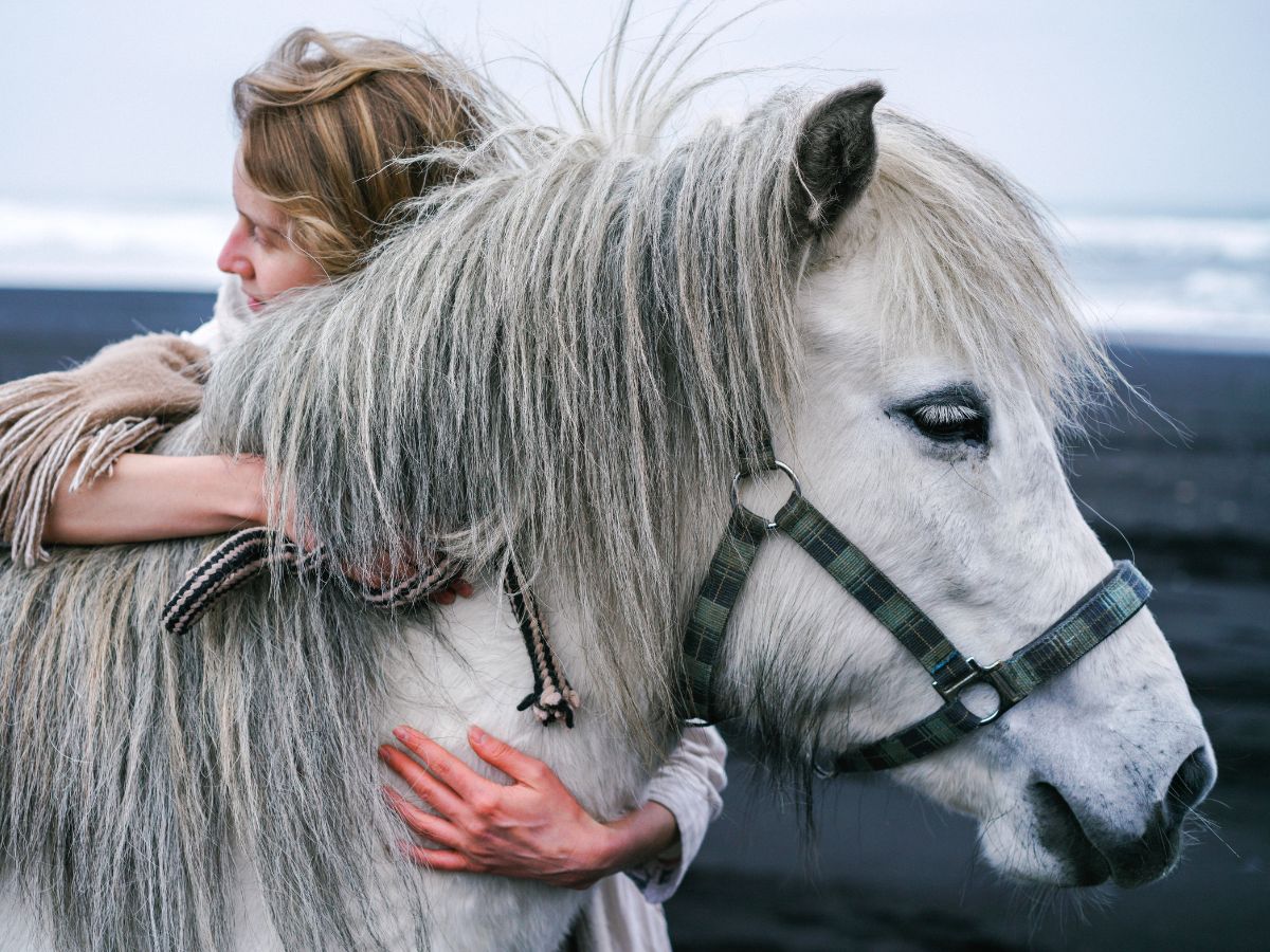 woman gently embracing a gray horse