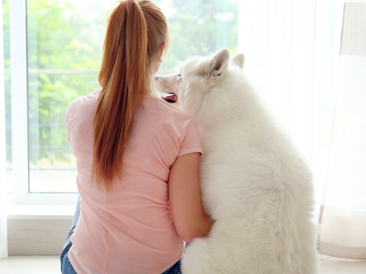 woman gently embracing a gray horse