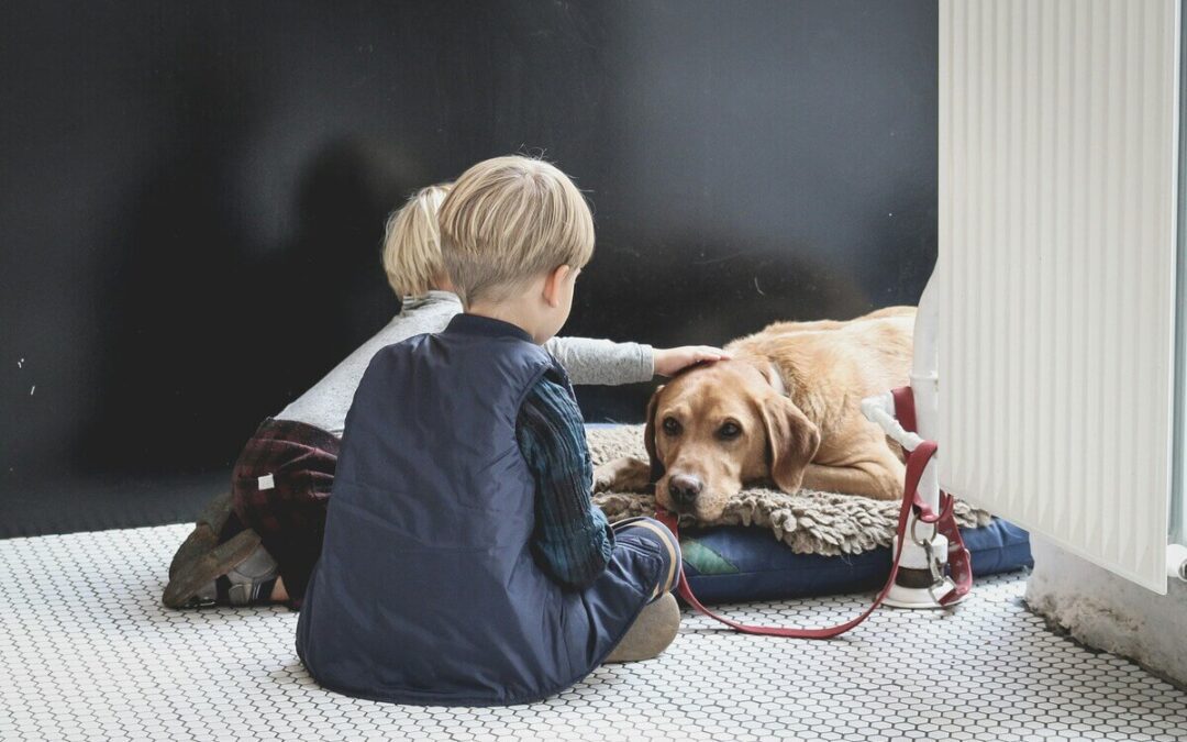 Navigating Grief Together: How to Support a Child Mourning the Loss of a Pet