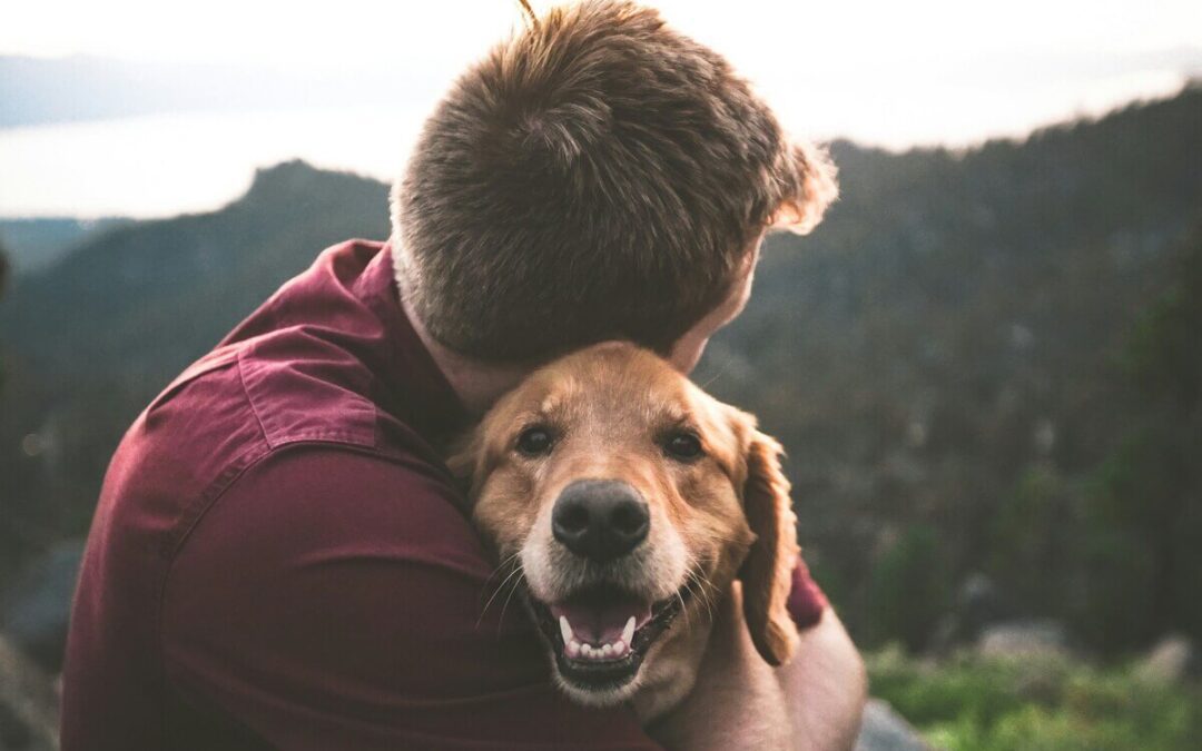 Navigating Pet Loss with Compassion: A Self-Care Guide