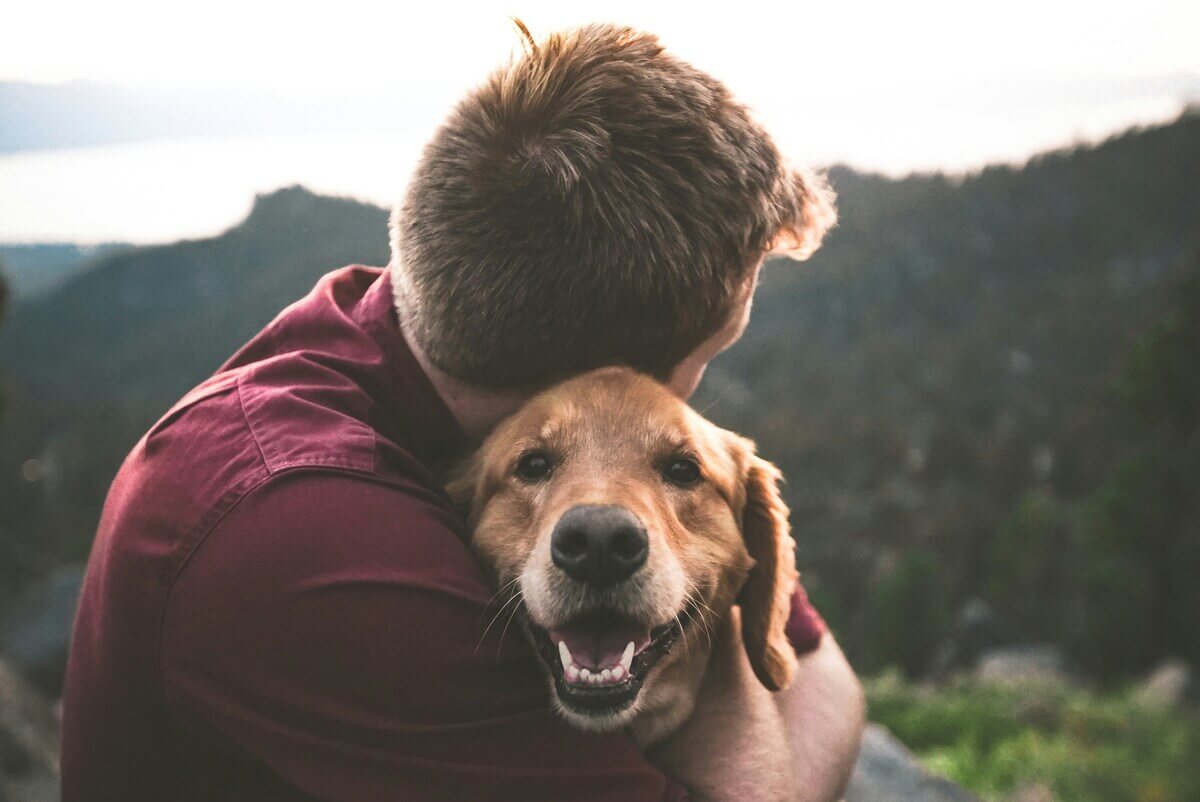 Navigating Pet Loss with Compassion: A Self-Care Guide