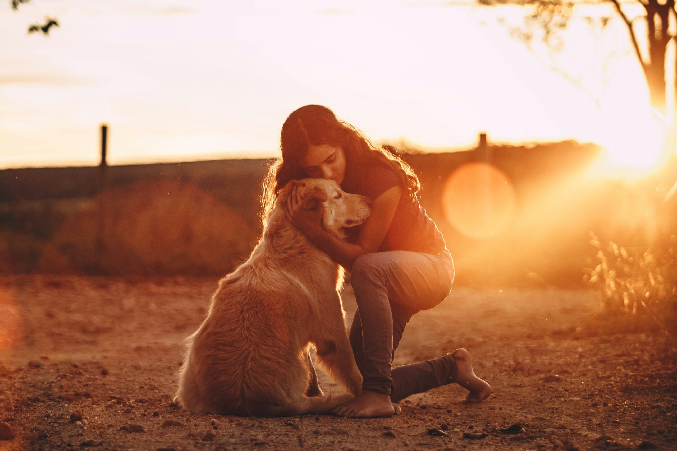 A Loving Goodbye: 5 Tips for Pet Owners Exploring End-of-Life Care for Their Loyal Companions