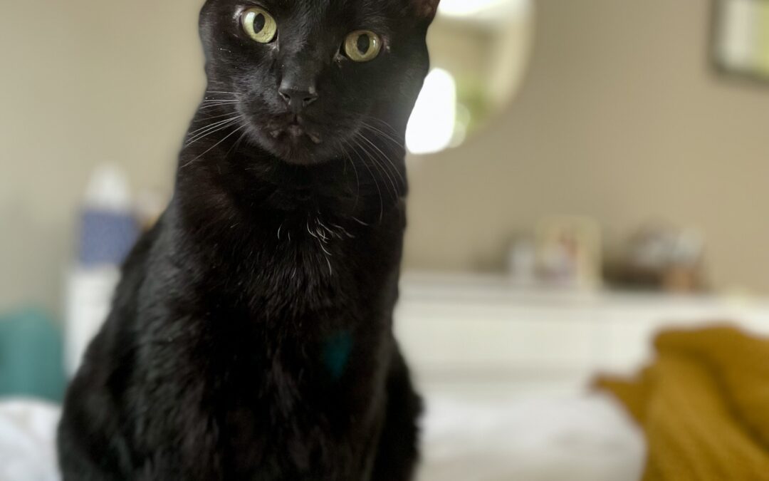 Jack