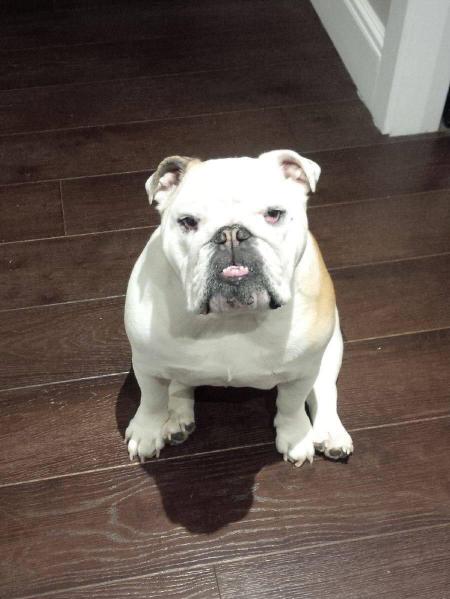 Lola (1)