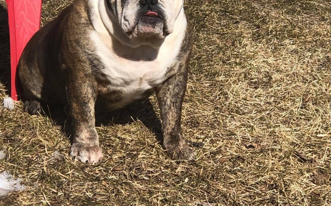 Lucy