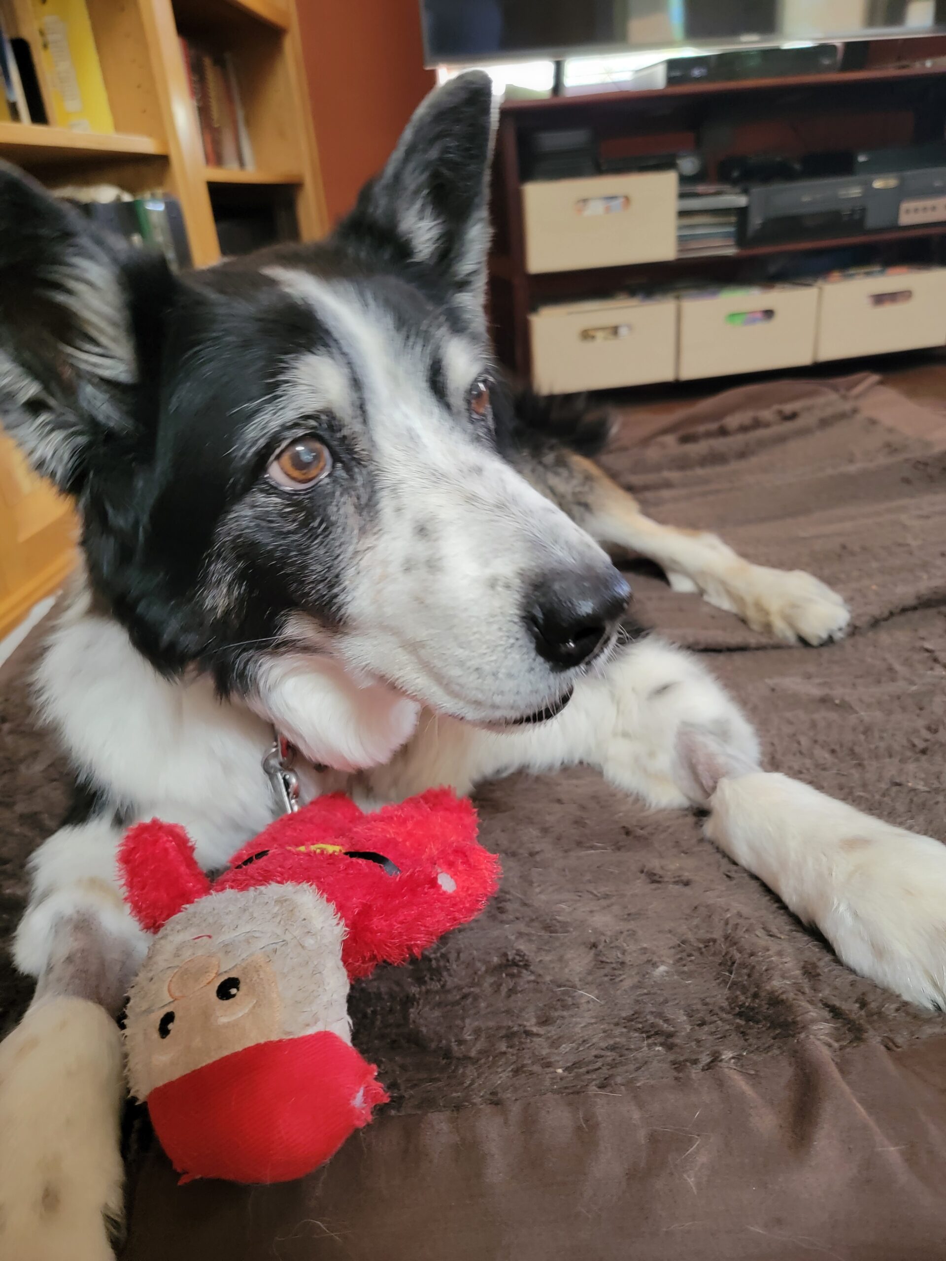 Monty