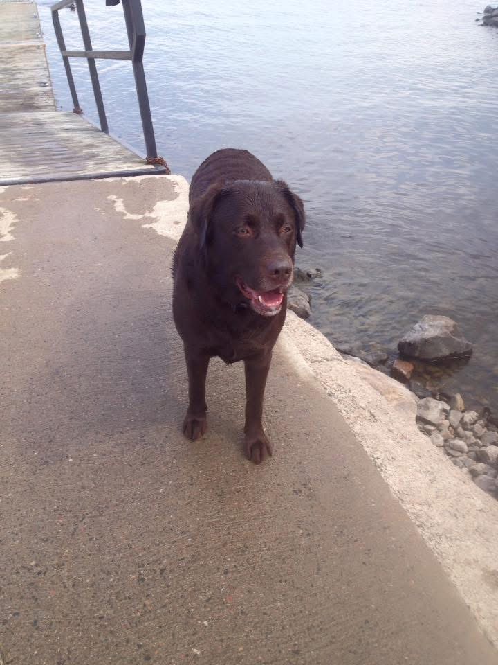 Remi
