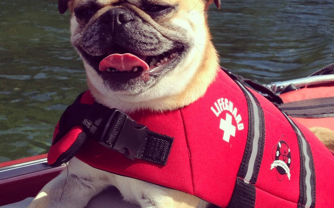 Bo