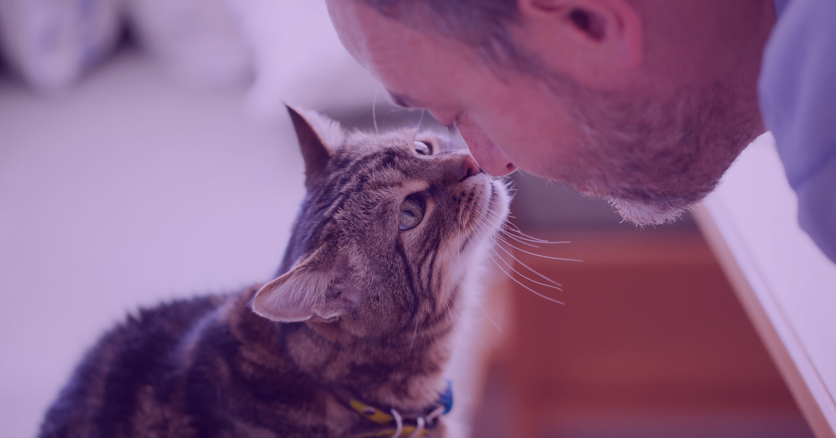 Animal Hospice Awareness Month: What It Means for You and Your Pet
