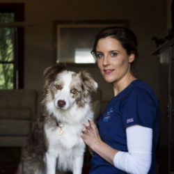 Dr. Craig Clifford, DVM, MS, DACVIM (Oncology)