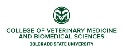 csu_cvmbs LSC