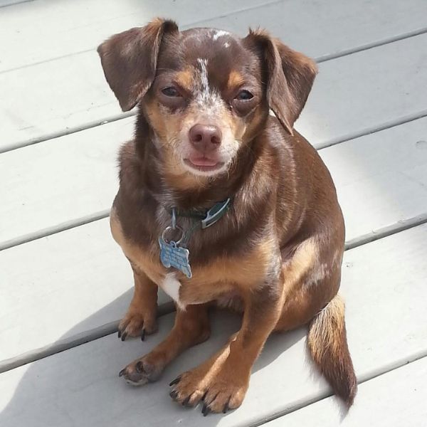 Oliver