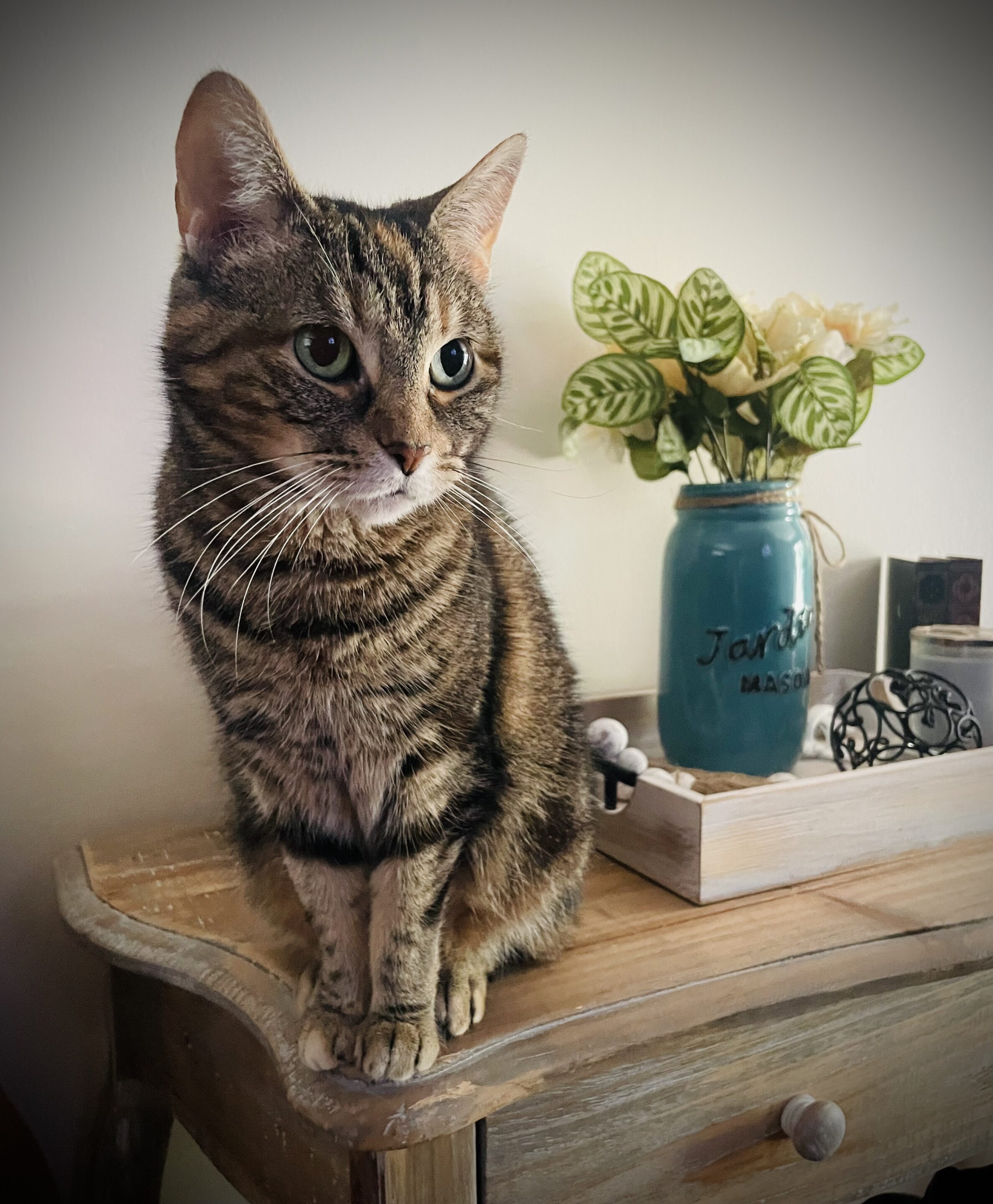 Smudge