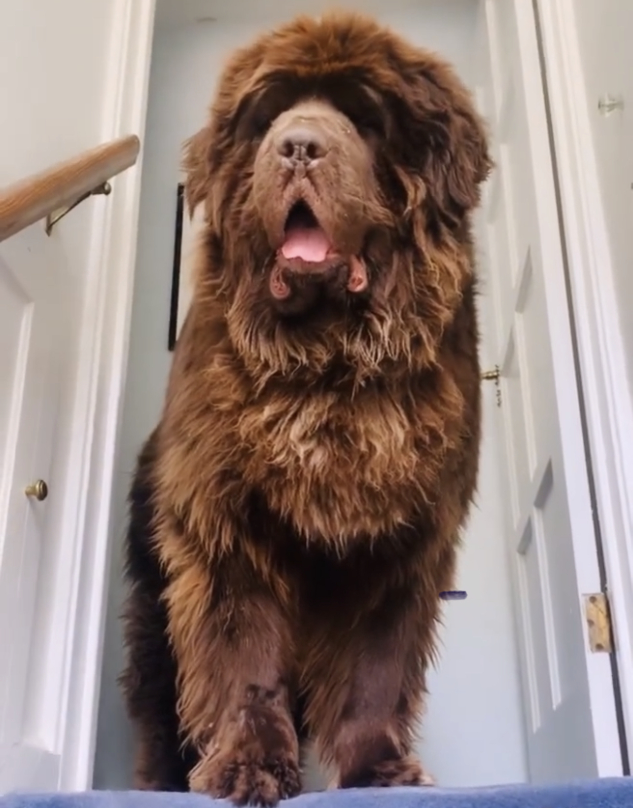 Murphy