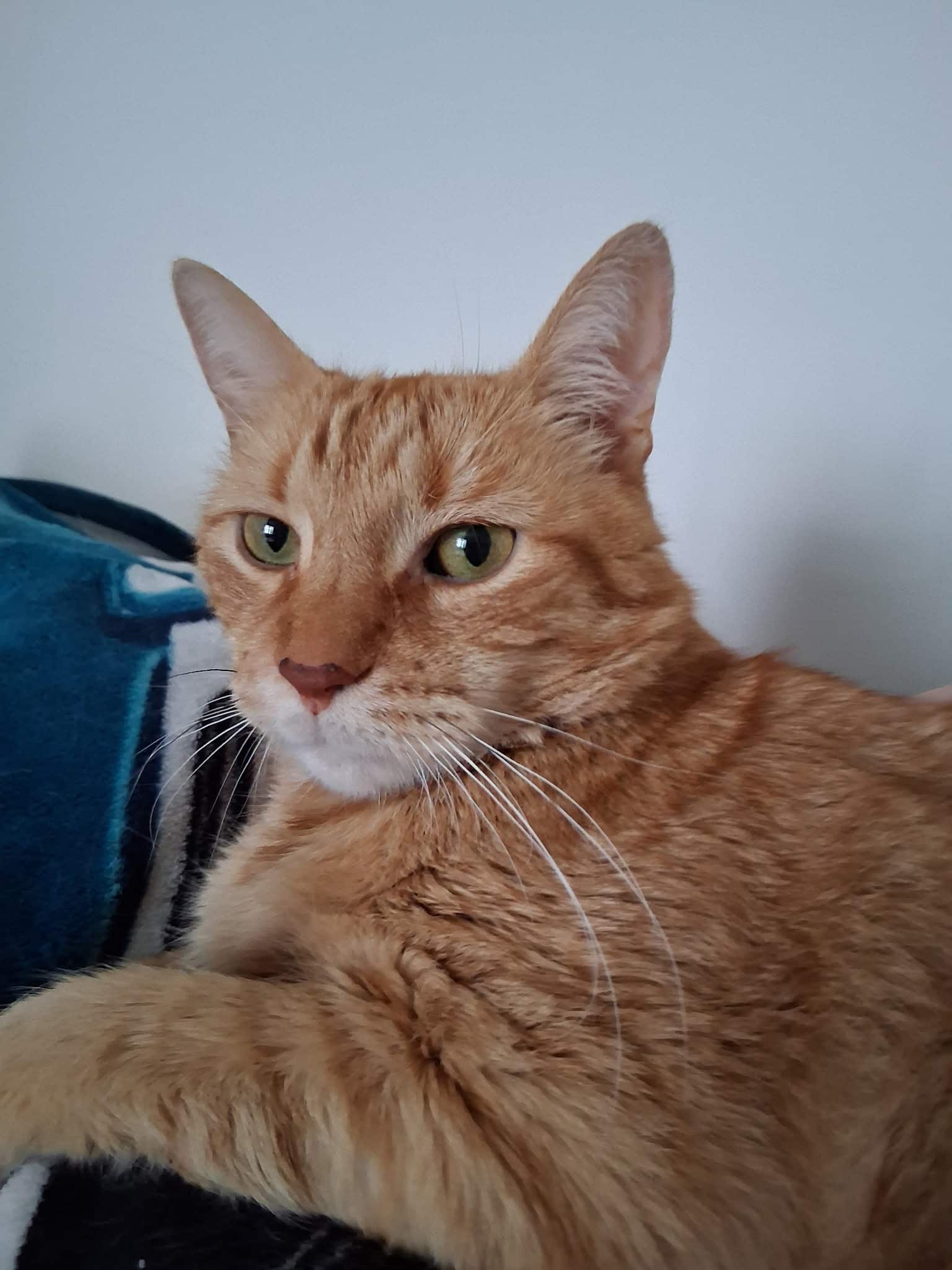 Oliver
