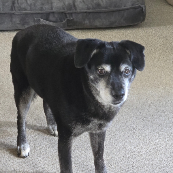 Coco
